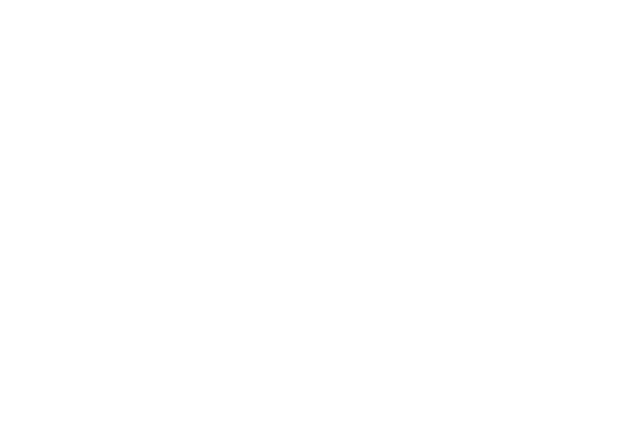 Runwyse Logo